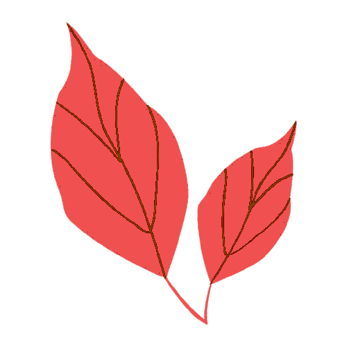 leaf decoration